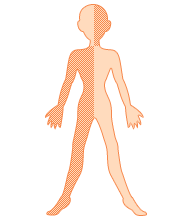 　　顔面は右（左）、  身体は反対側左（右）半身